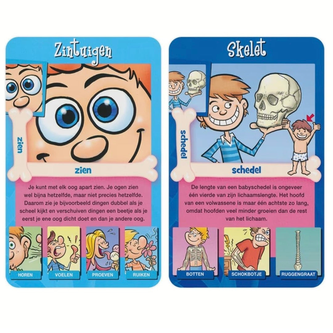 Identity Games: Menselijk Lichaam weetjes - Kwartet