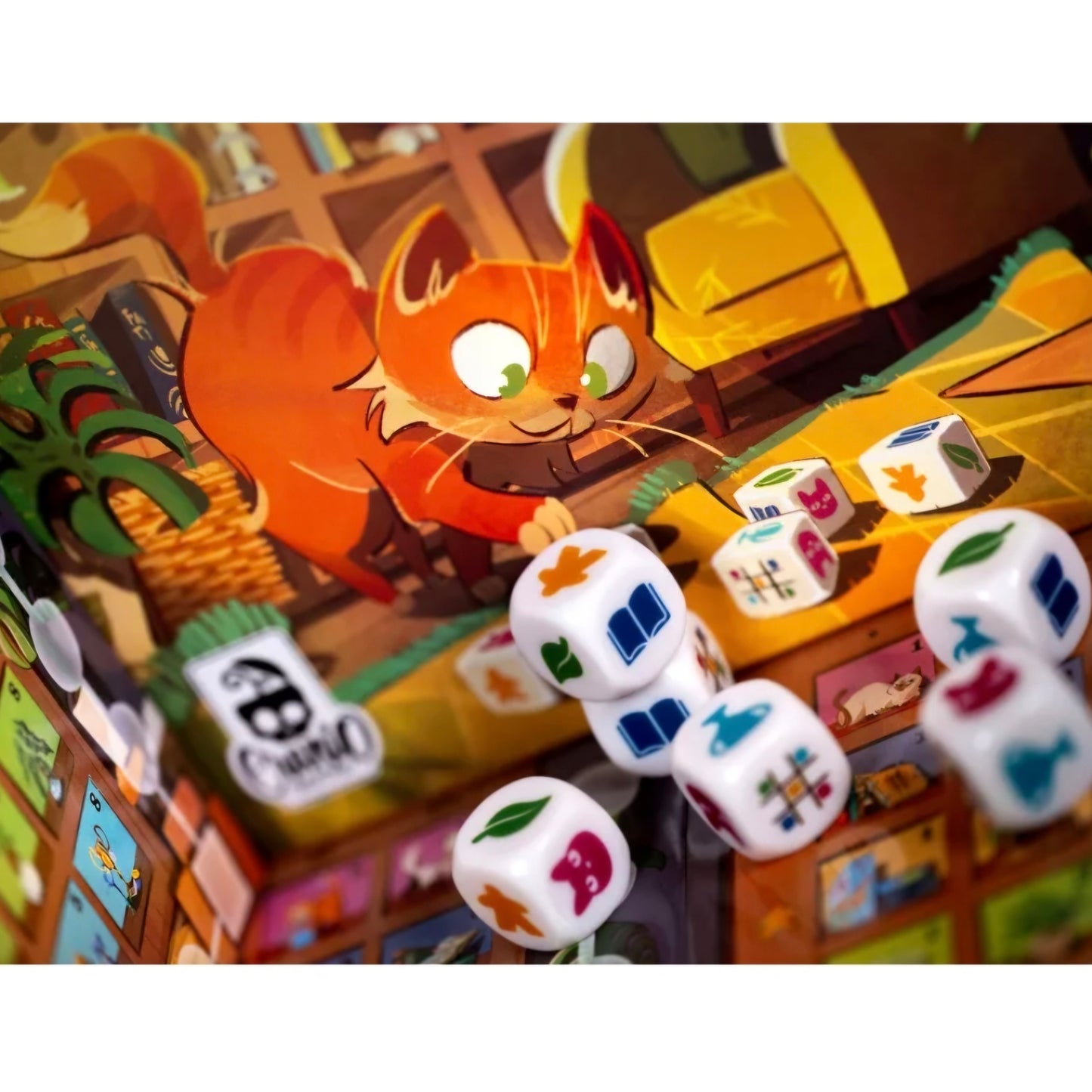 999 games: My Shelfie - Het Dobbelspel