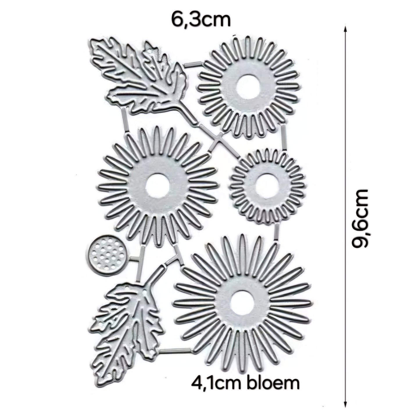 Stansmes Zonnebloem of Gebera