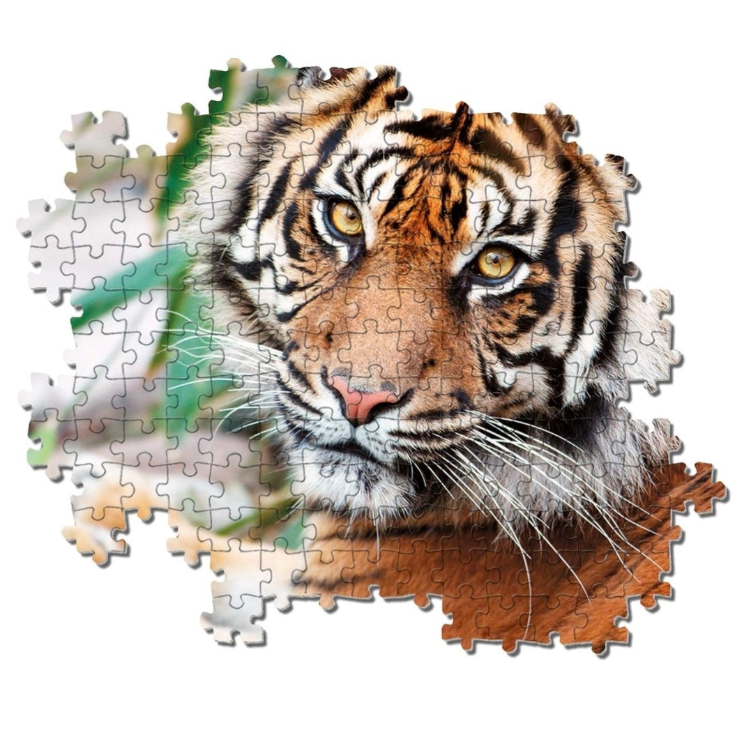 Clementoni: Sumatraanse Tijger - 1000