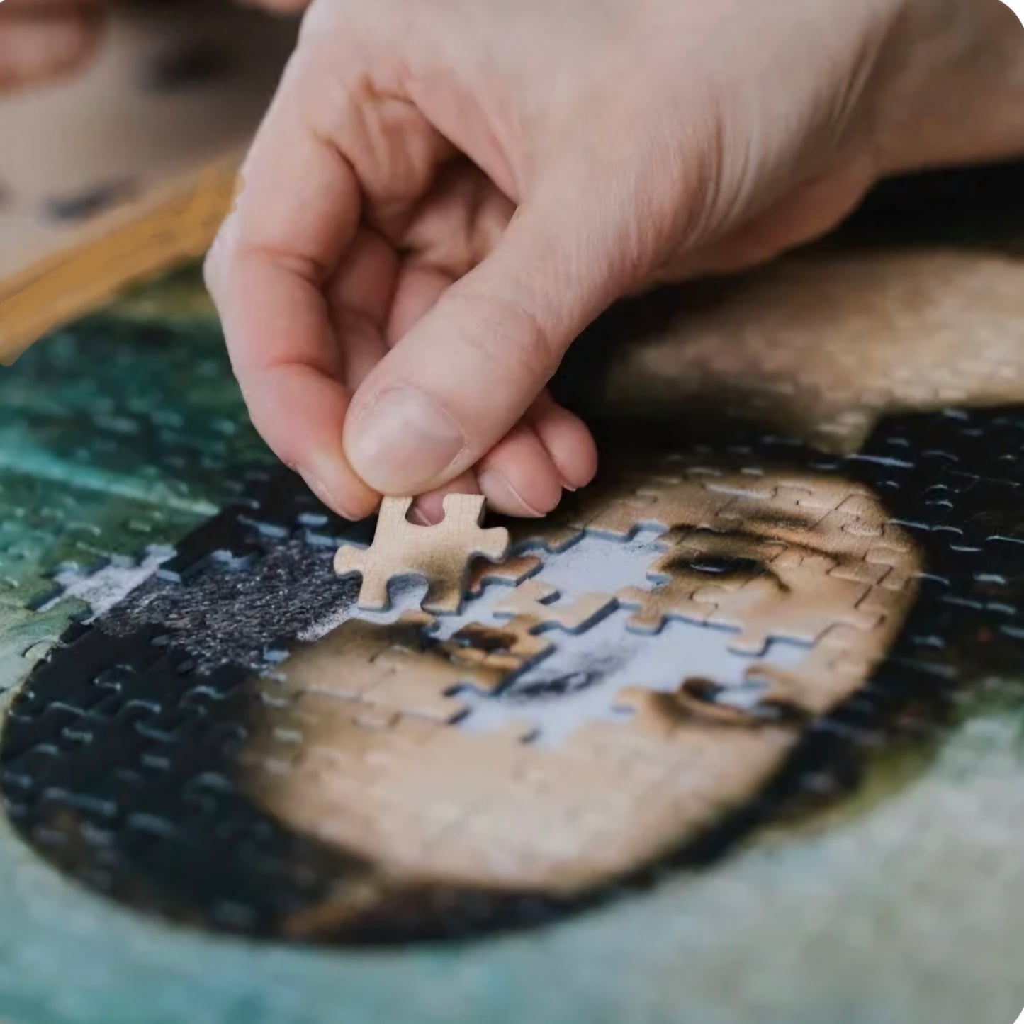 The Frame: Leonardo da Vinci - Mona Lisa - met houten Lijst - 500