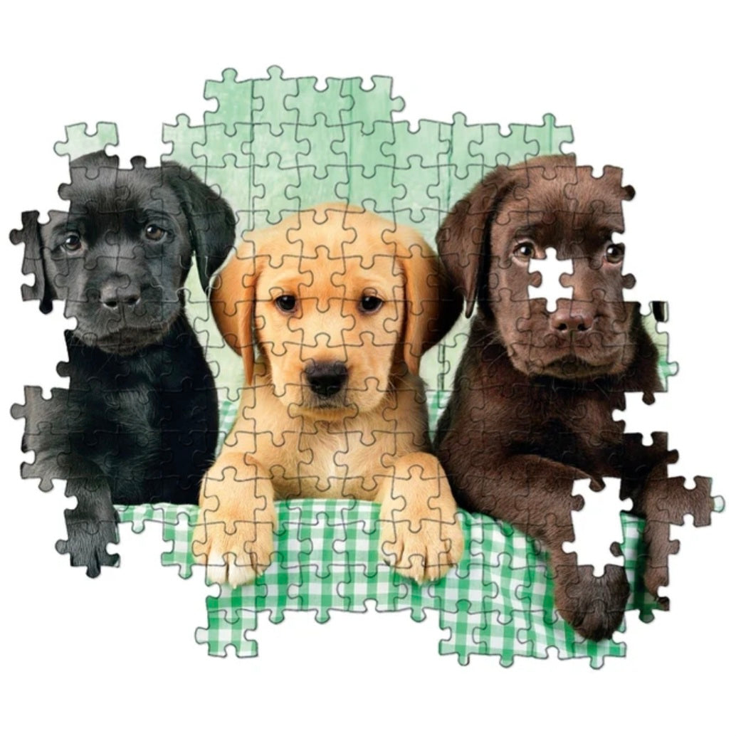 Clementoni: 3 Labradors - 1000