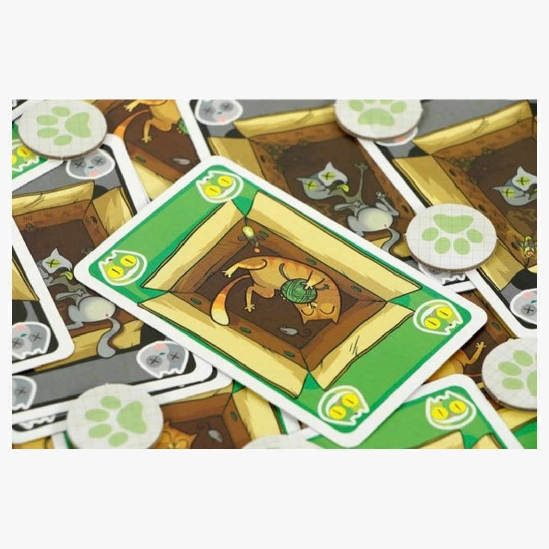 999 Games: Schrödinger's Katten