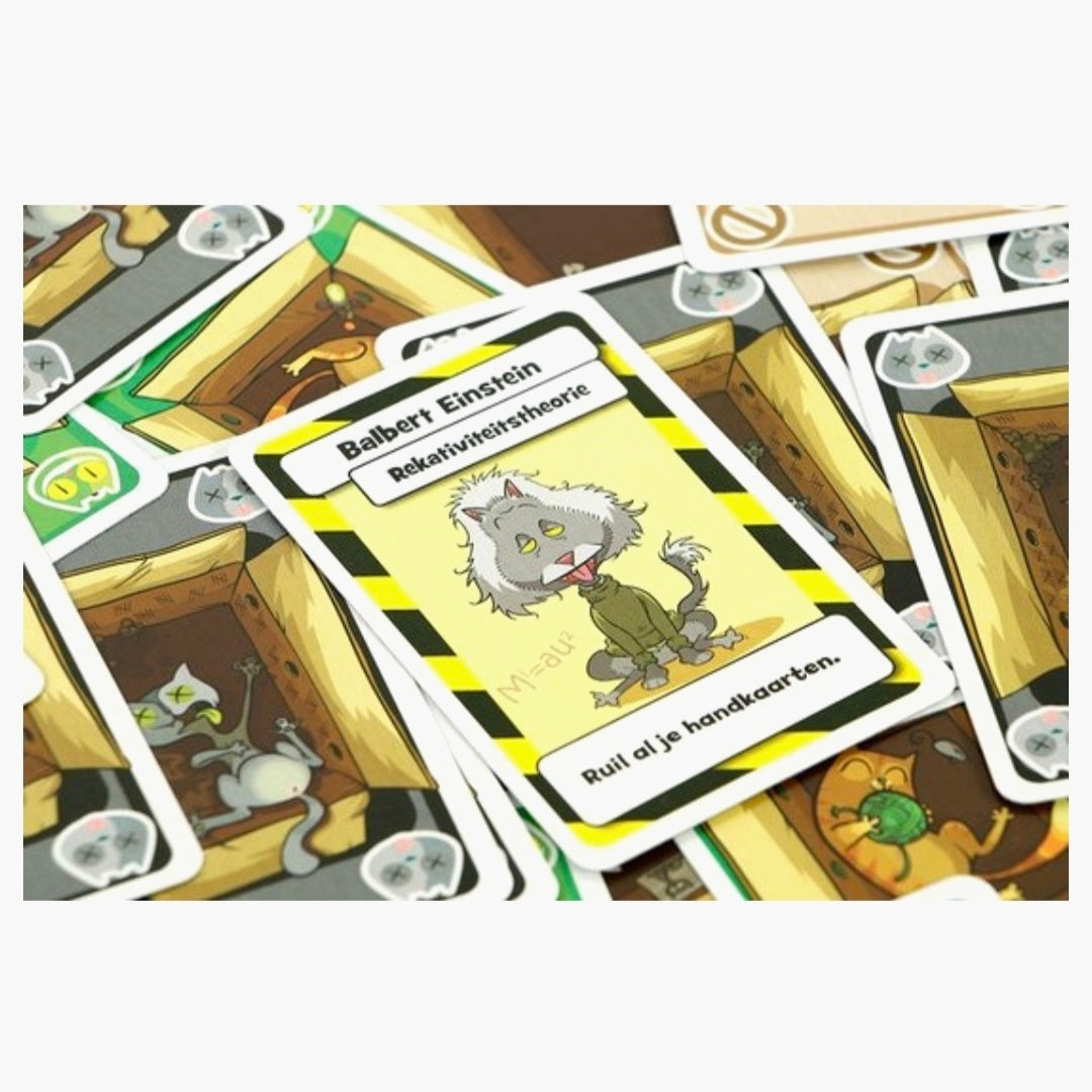 999 Games: Schrödinger's Katten