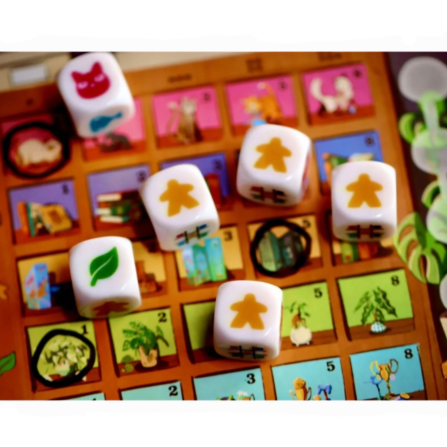 999 games: My Shelfie - Het Dobbelspel