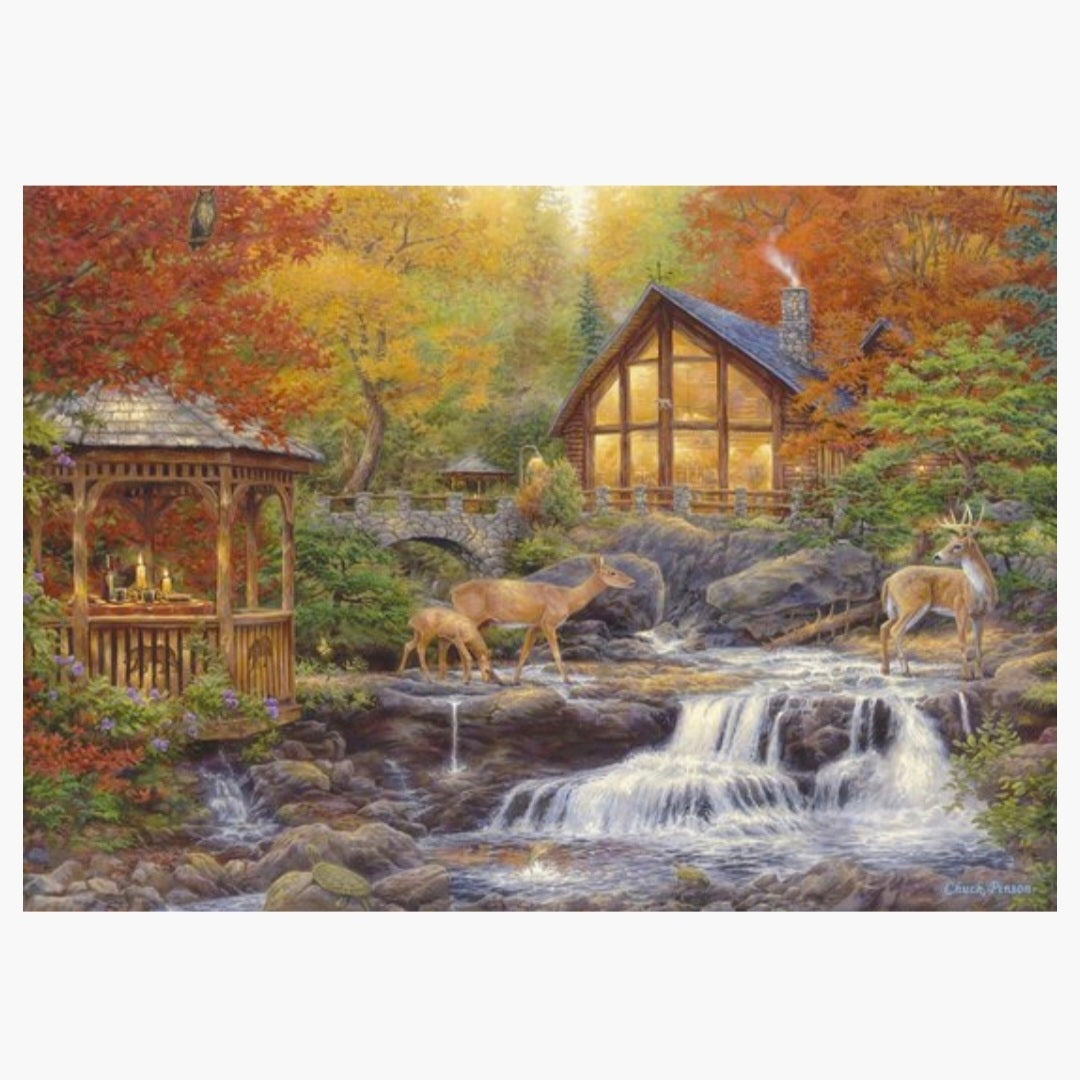 Chuck Pinson: The Colours of Life - 1000