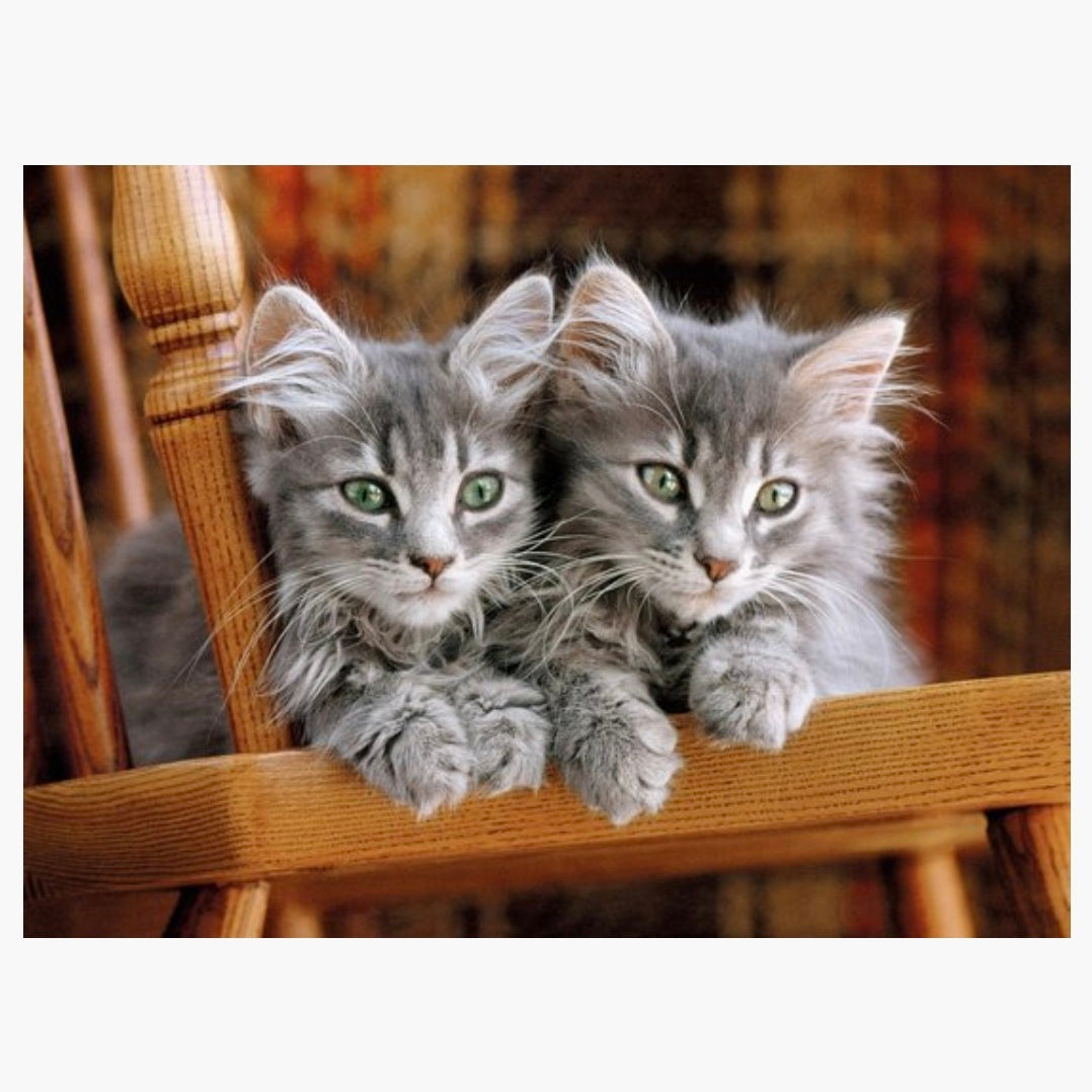 Clementoni: 2 Kittens - 500