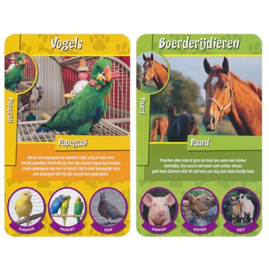 Identity Games: Huisdieren weetjes -  Kwartet