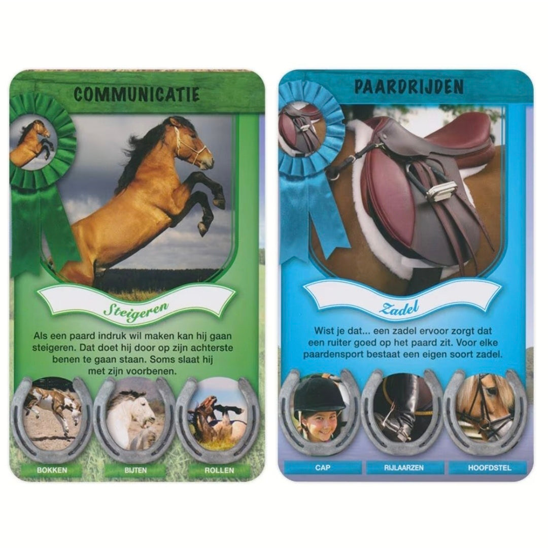 Identity Games: Paarden weetjes - Kwartet