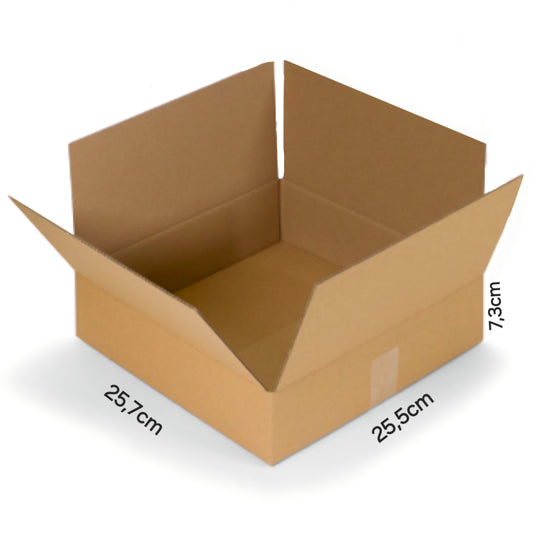 Amerikaanse Verzendoos: inwendig 257x255x73mm (30st)
