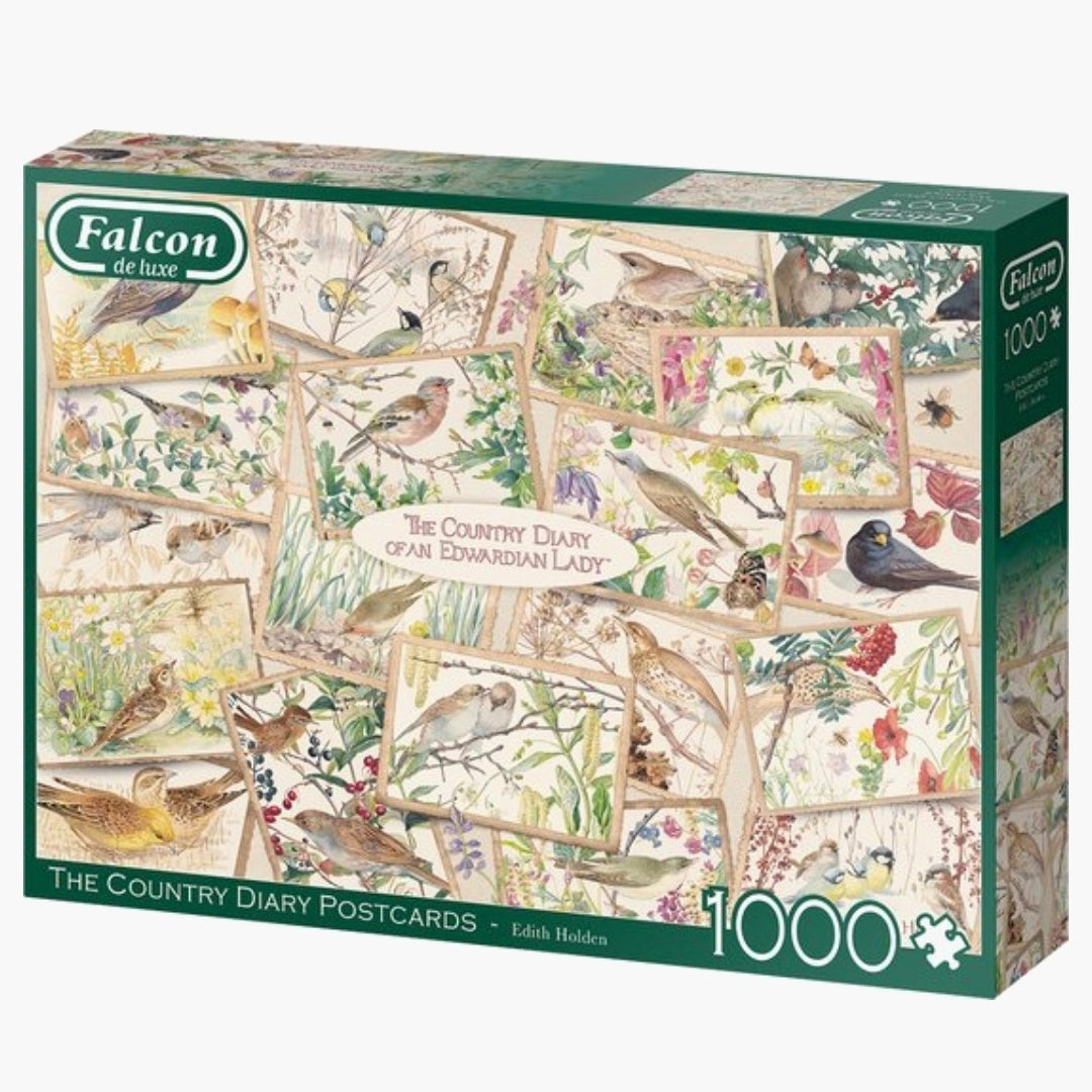 Falcon: The Country Diary Postcards - 1000