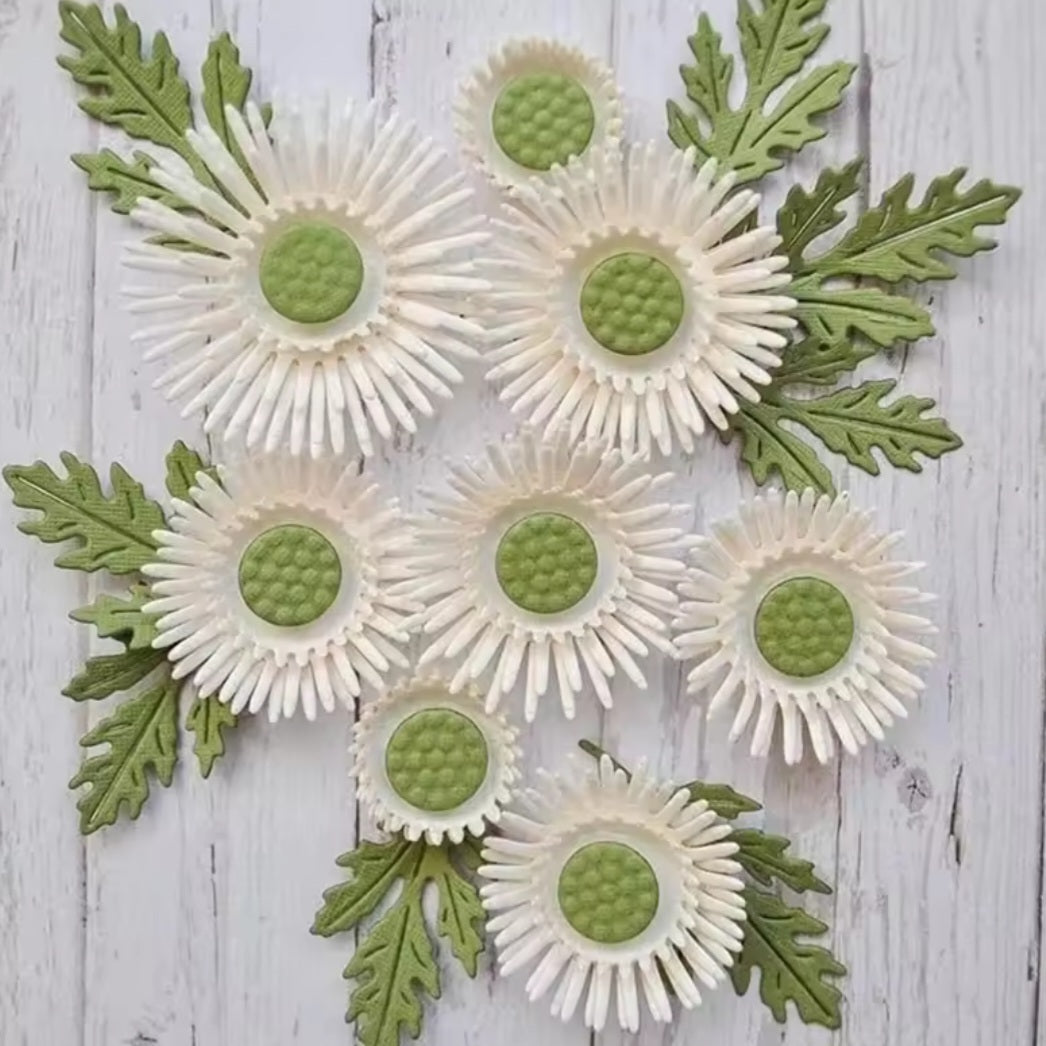 Stansmes Zonnebloem of Gebera