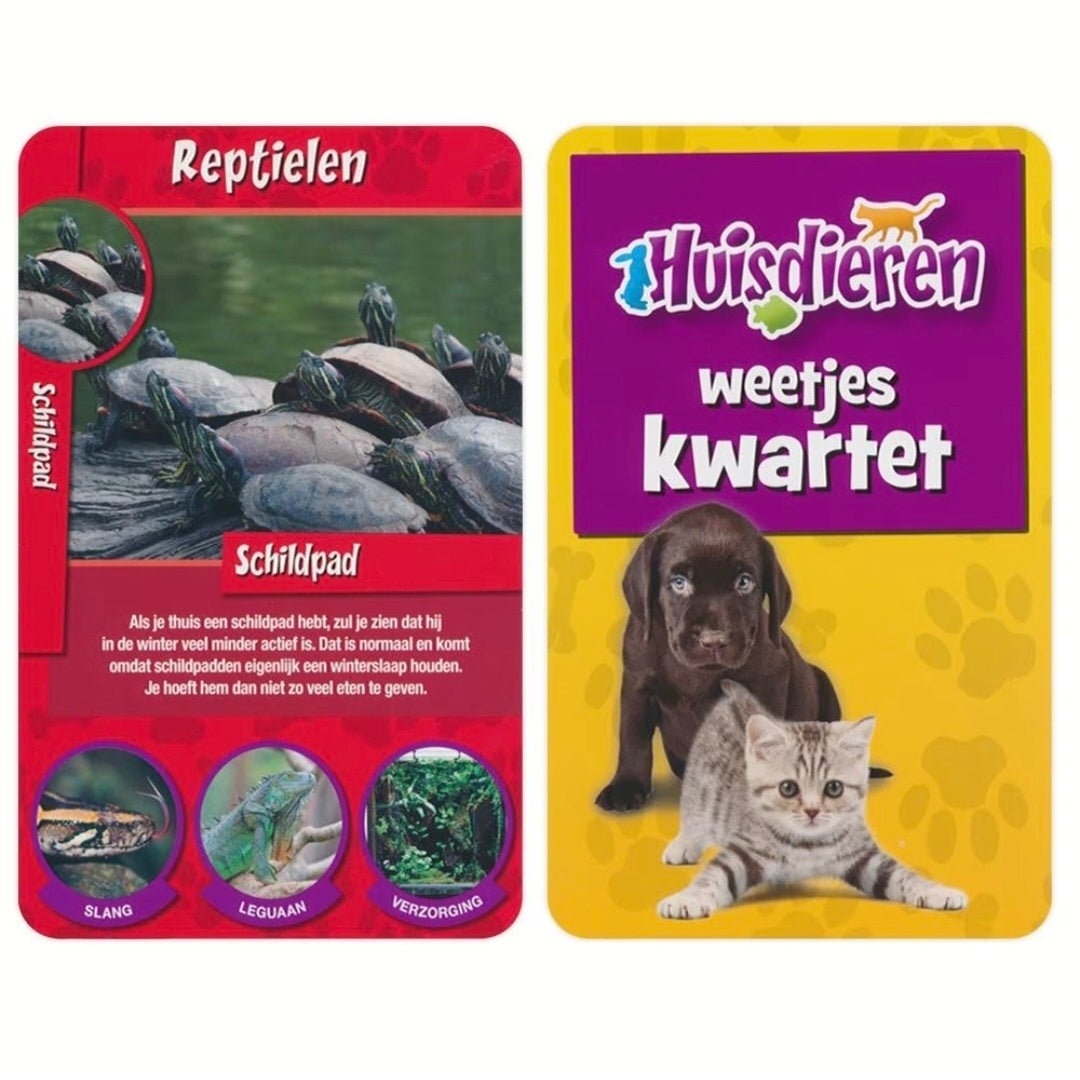 Identity Games: Huisdieren weetjes -  Kwartet