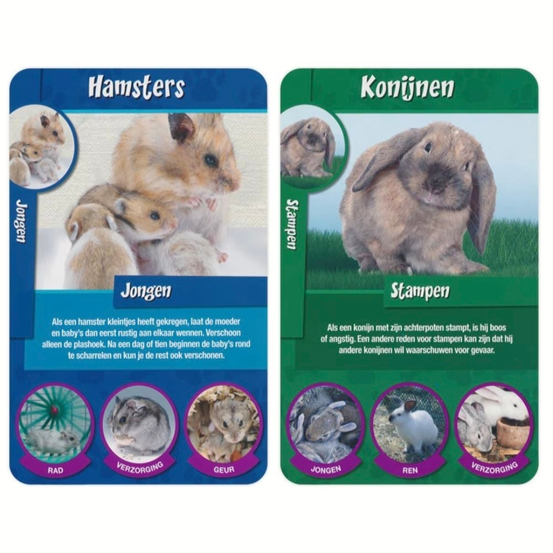 Identity Games: Huisdieren weetjes -  Kwartet