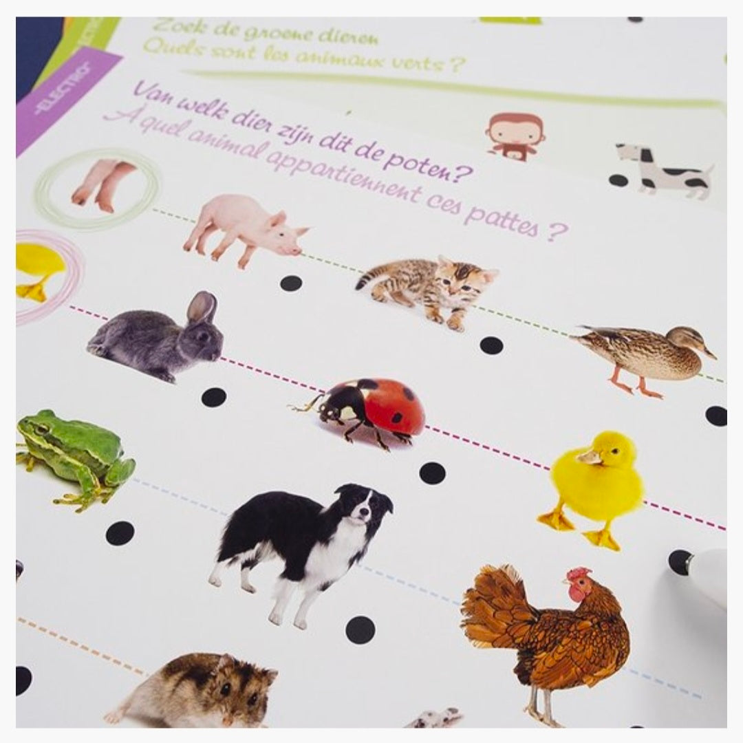 Jumbo: Electro Wonderpen - Ontdek de Dieren