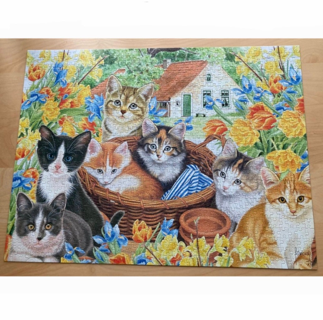 Jumbo: Francien - Boederij Katten - 950
