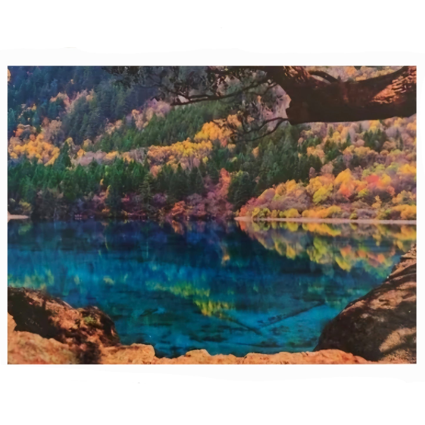 King: Jiuzhaigou National Park China - 2000