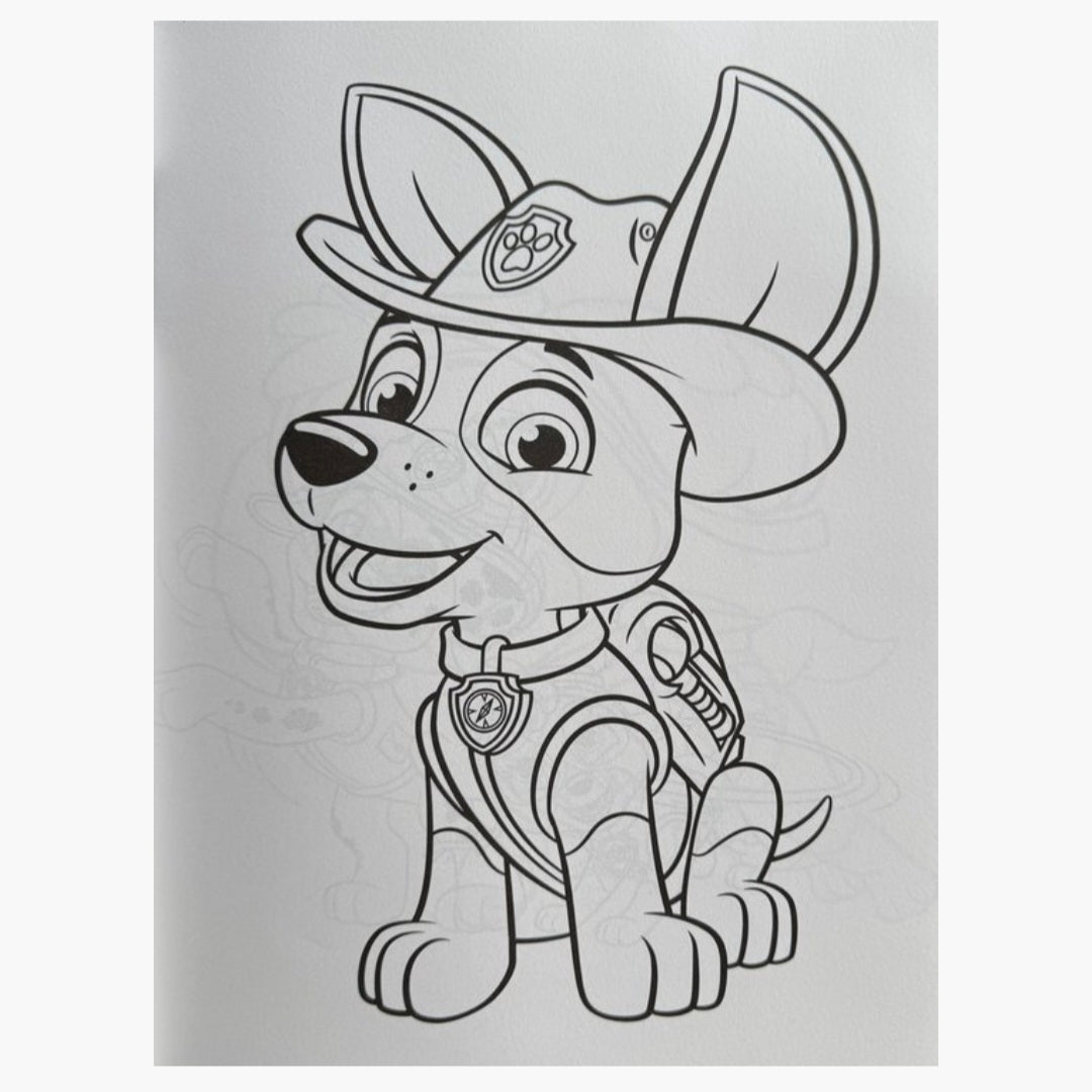 Paw Patrol: Kleurboek + stickers
