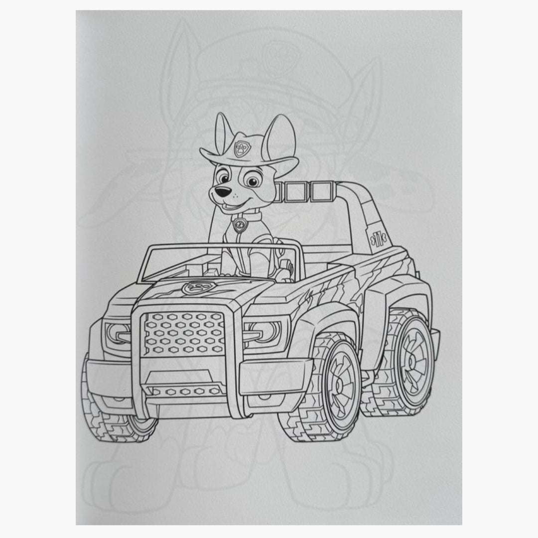 Paw Patrol: Kleurboek + stickers