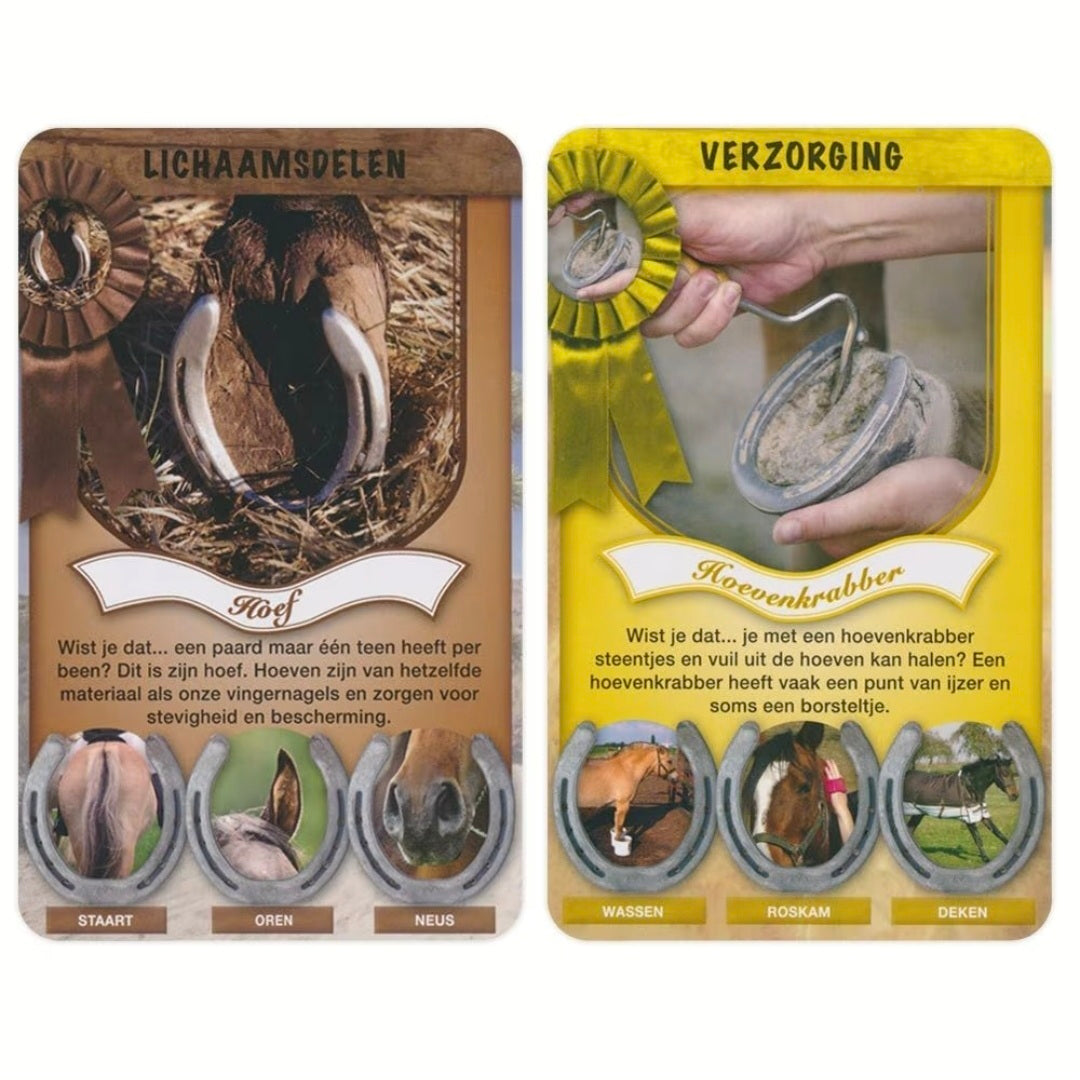 Identity Games: Paarden weetjes - Kwartet