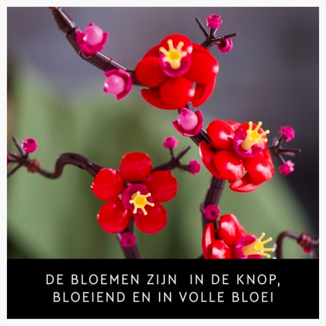 Lego 10369: Botanical - Japanse Abrikoos