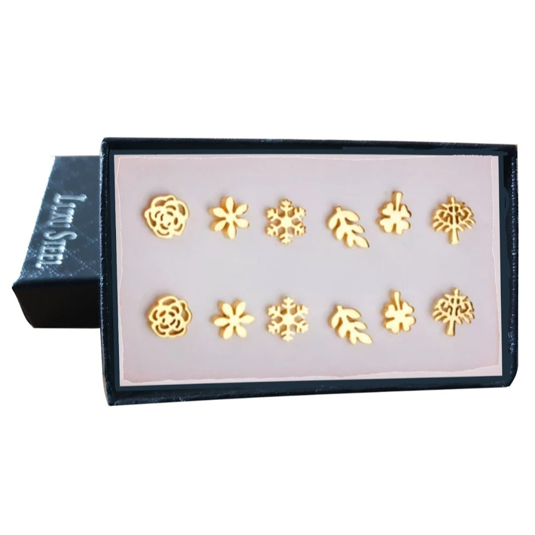 6 Delige Oorbellenset in Luxe doosje