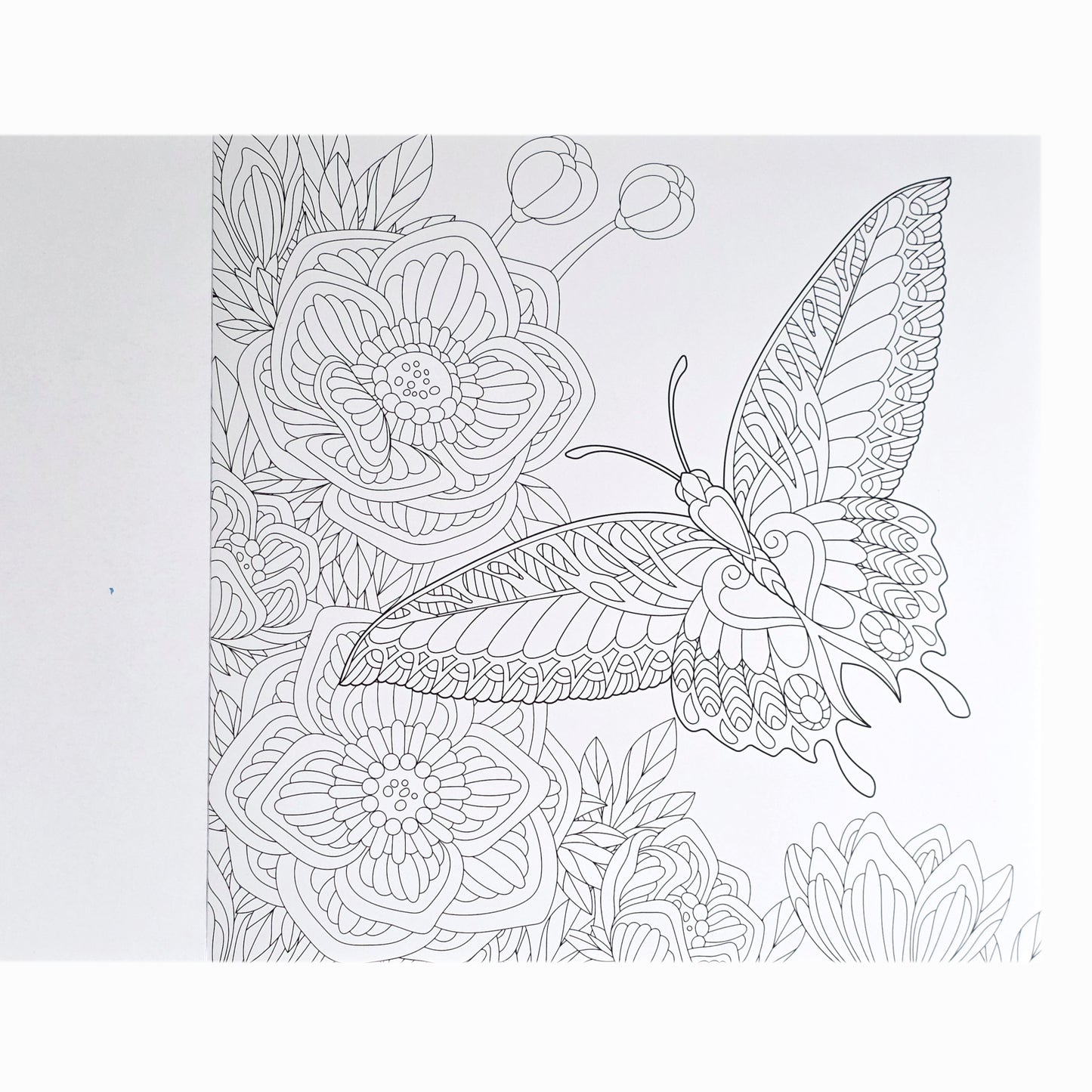 Mandala Art: Natuur Kleurboek Volwassenen - 20 afbeeldingen