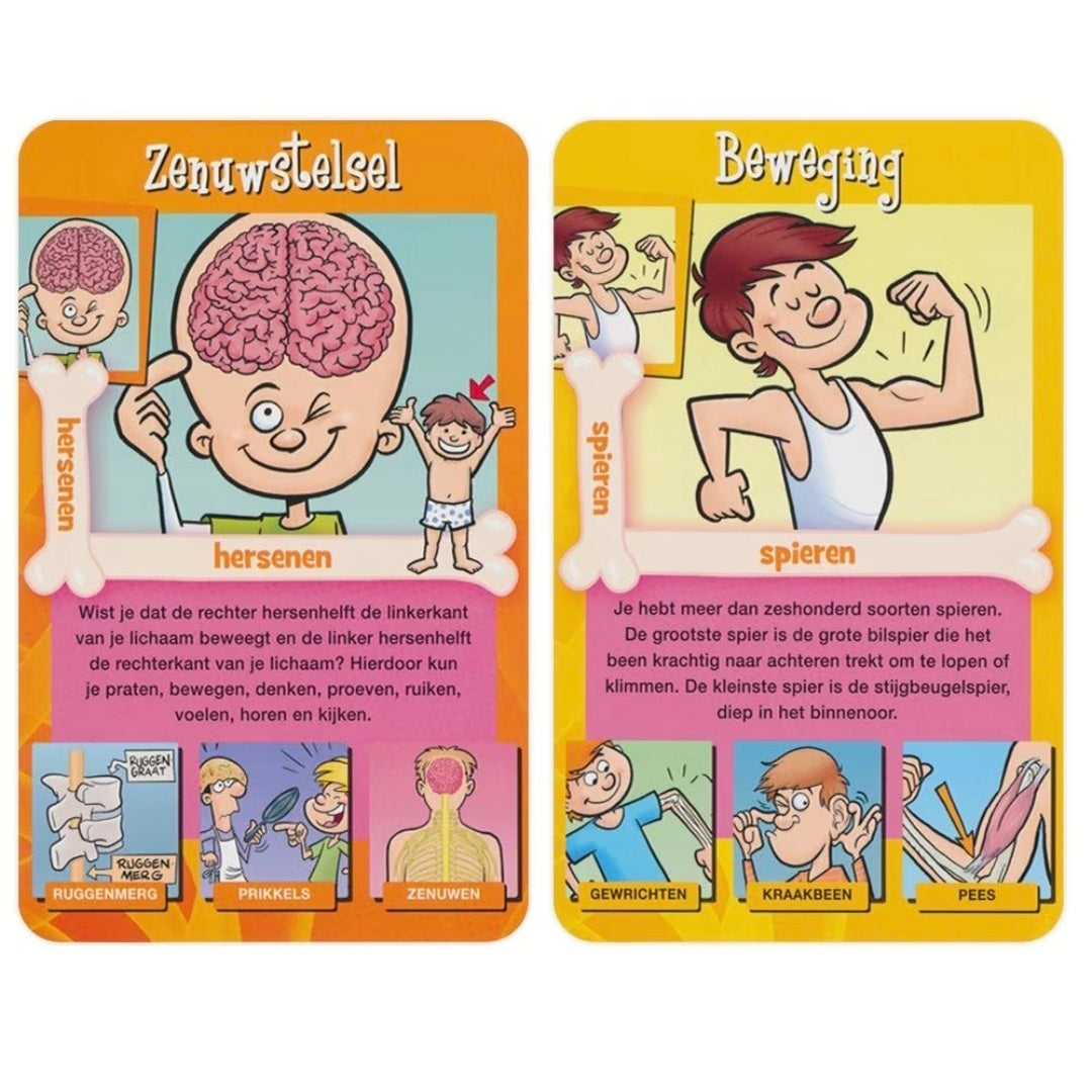 Identity Games: Menselijk Lichaam weetjes - Kwartet