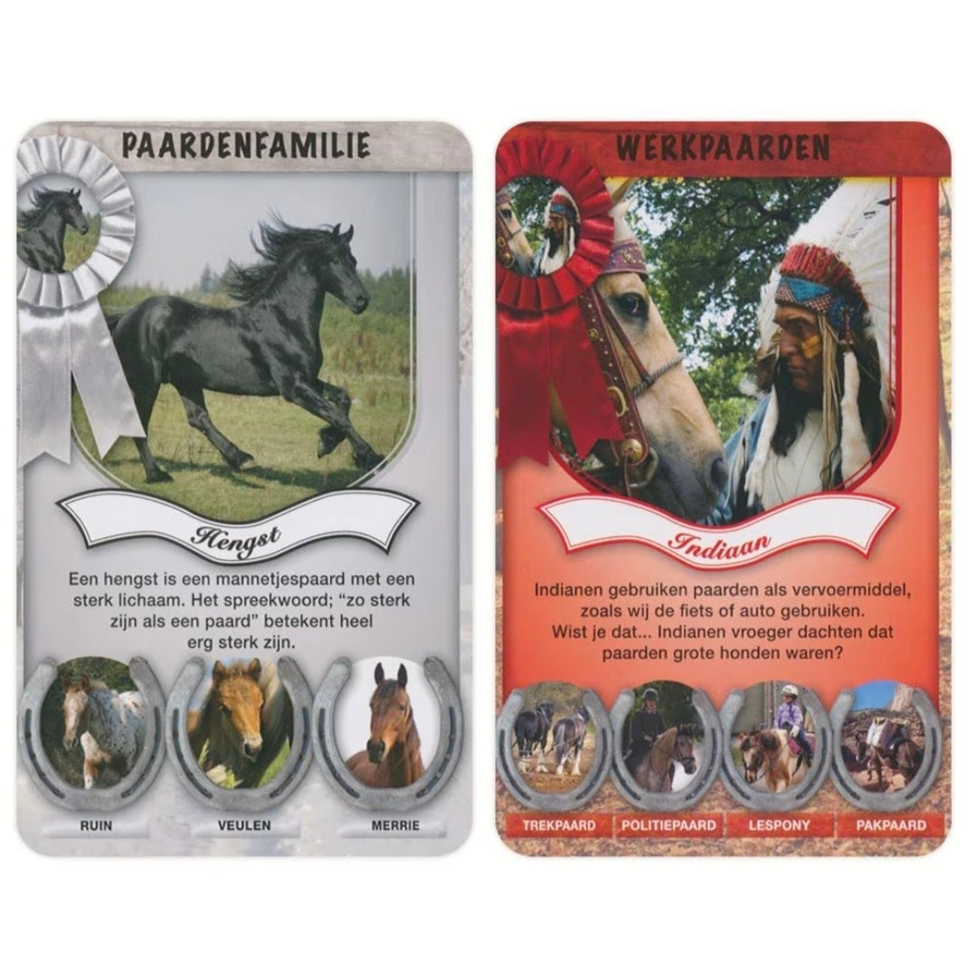 Identity Games: Paarden weetjes - Kwartet