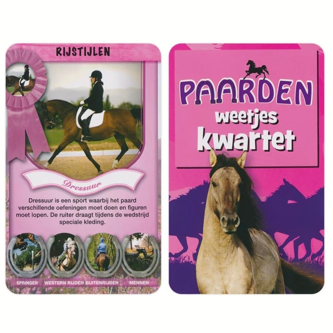 Identity Games: Paarden weetjes - Kwartet