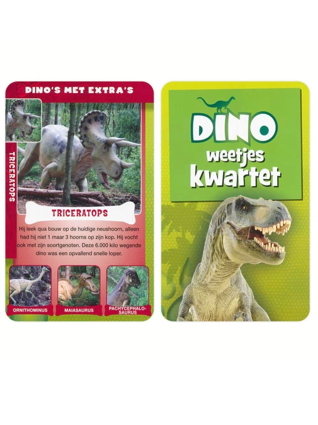 Identity Games: Dino weetjes - Kwartet