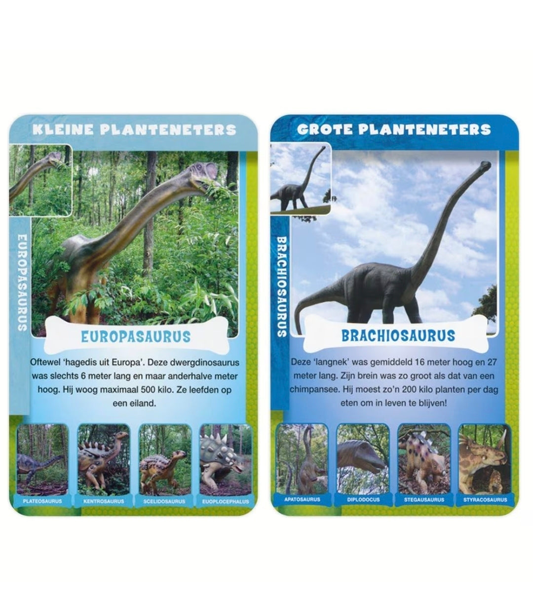 Identity Games: Dino weetjes - Kwartet