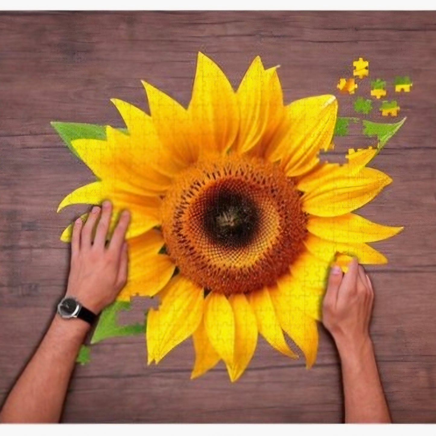 Shaped Puzzel: Sunflower - Zonnebloem - 700
