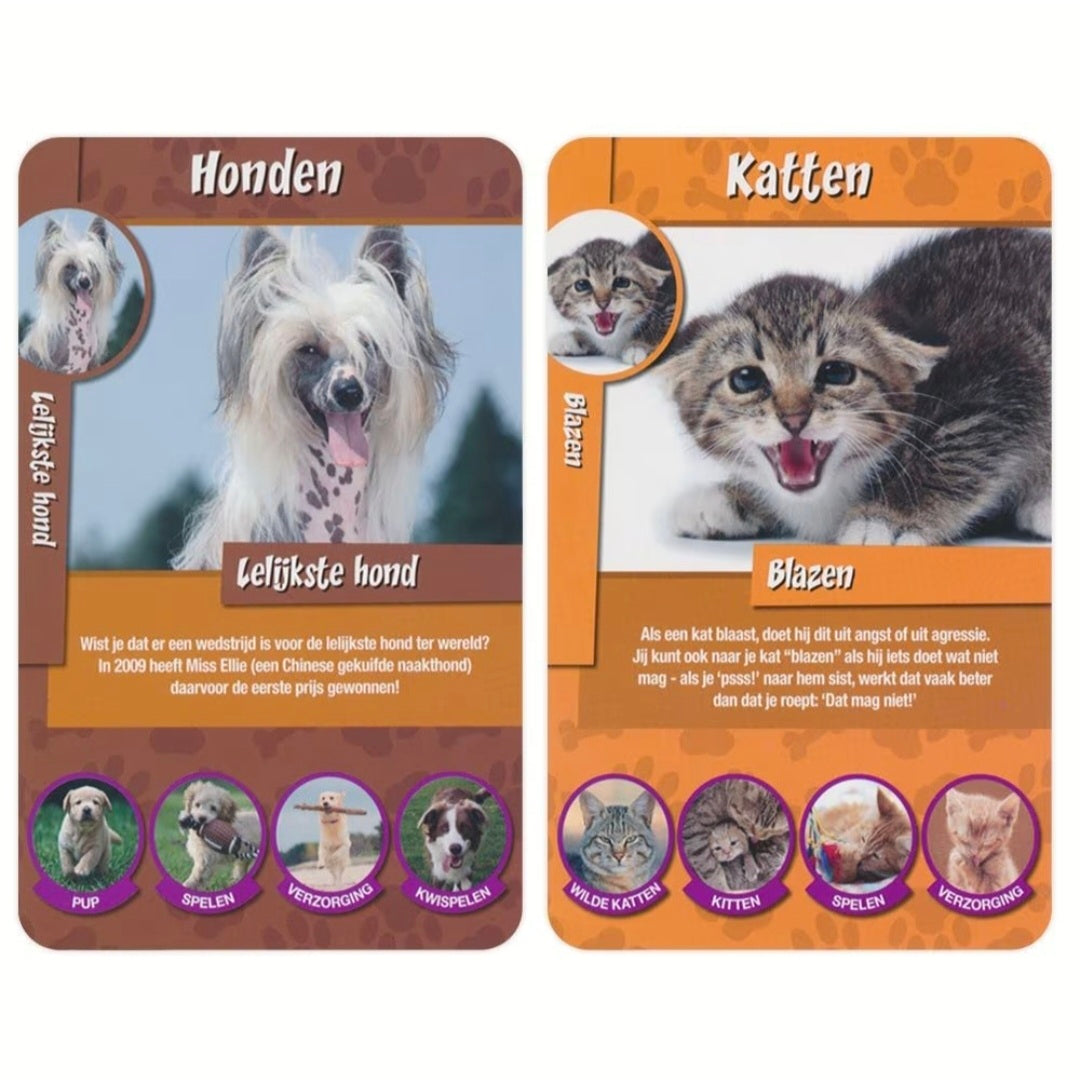 Identity Games: Huisdieren weetjes -  Kwartet