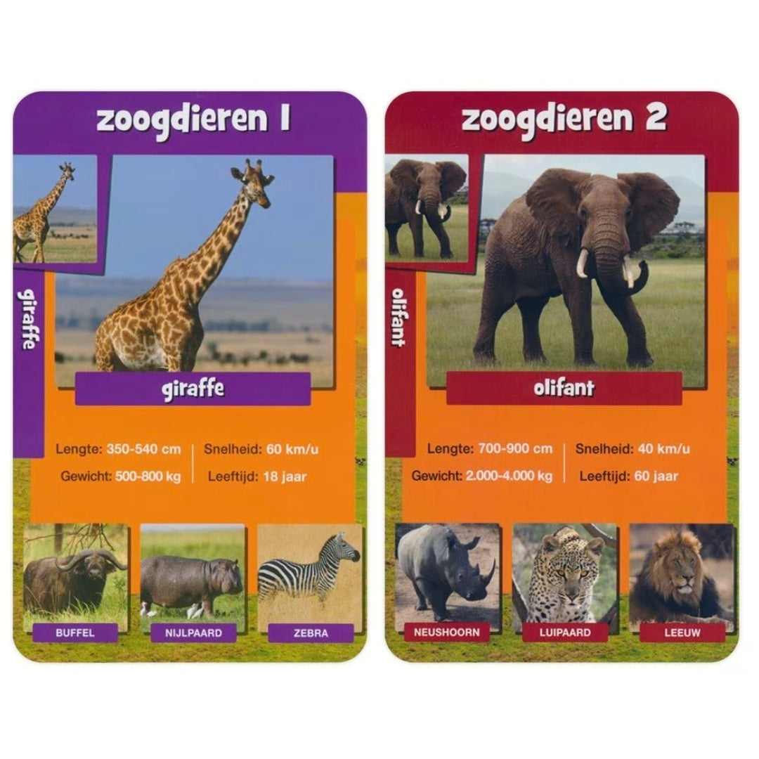 Identity Games: Wildlife Weetjes - Kwartet